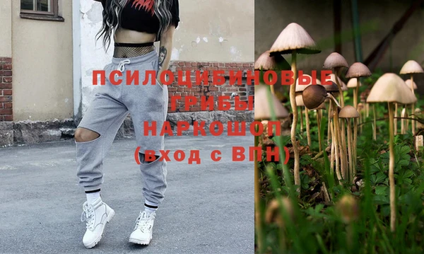 твердый Алексин