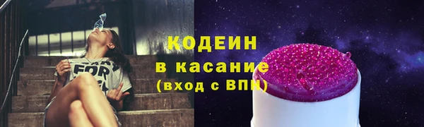 хмурый Алзамай