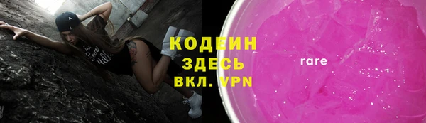 хмурый Алзамай