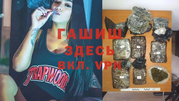 хмурый Алзамай
