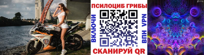 MEGA tor  Кукмор  Псилоцибиновые грибы MAGIC MUSHROOMS 